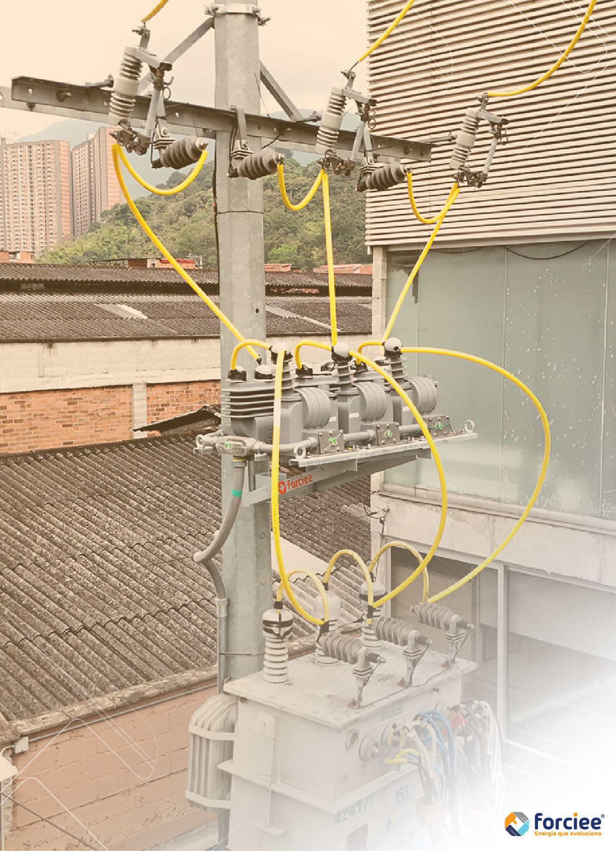CAT-EMC FORCIEE-08